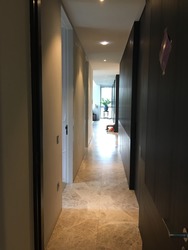 Leedon Residence (D10), Condominium #215902441
